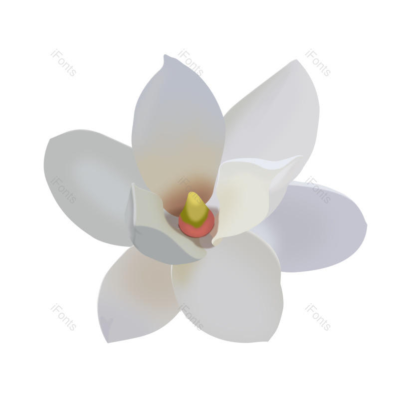 透明图片,春天元素,PNG,免抠素材